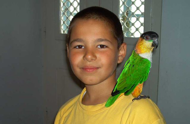 My parrot